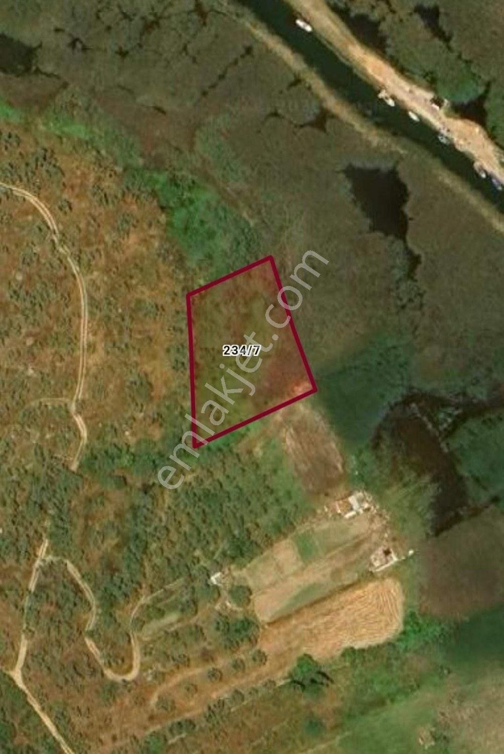 Muğla Milas Pınarcık`ta 2010 M2`lik Satılık Tarla