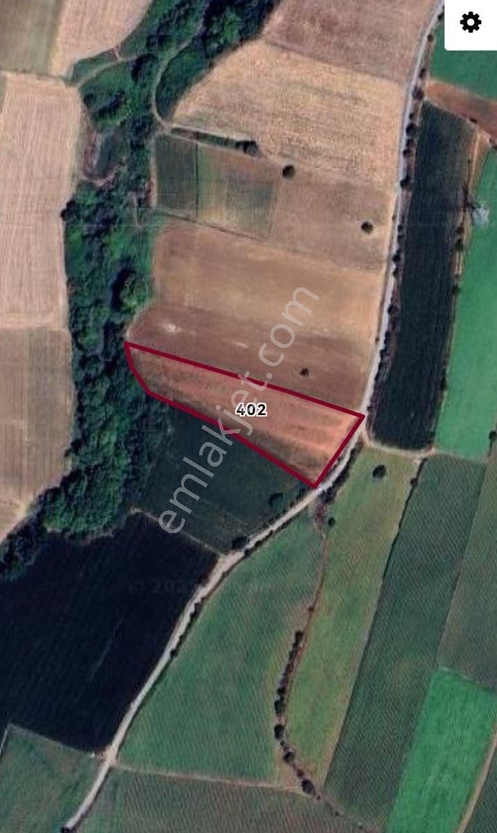 Selçuklu'dan Doğla'da Yola Cephe Yerleşime Yakın Fırsat Tarla - Görsel 2