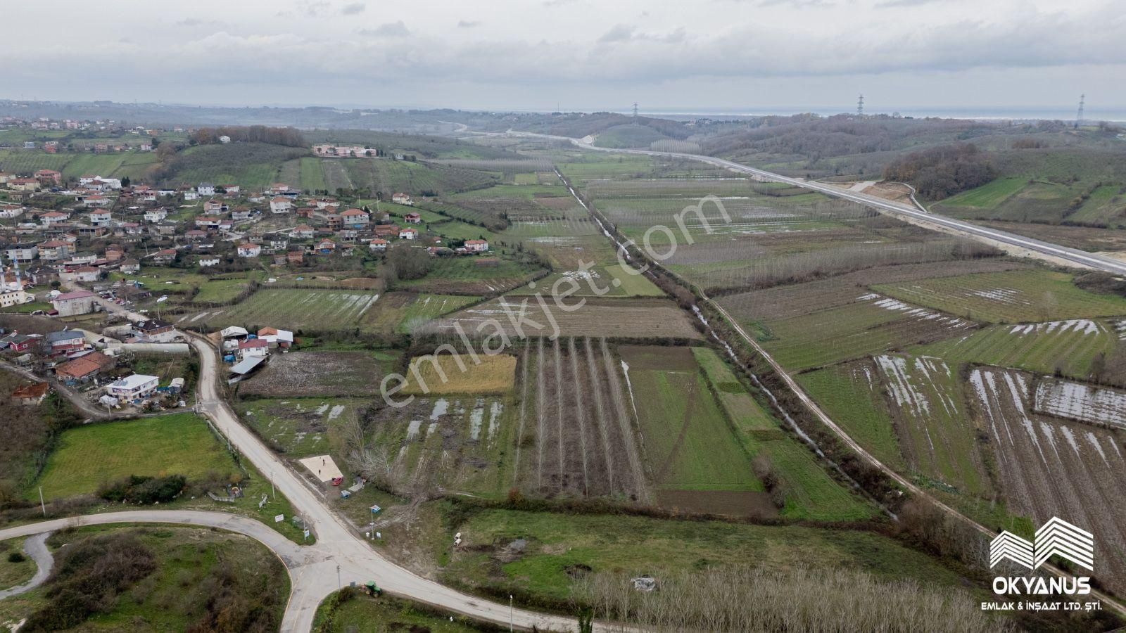 Geniş Arsa Arayanlara Özel İmar Sınırında Fırsat Arsa