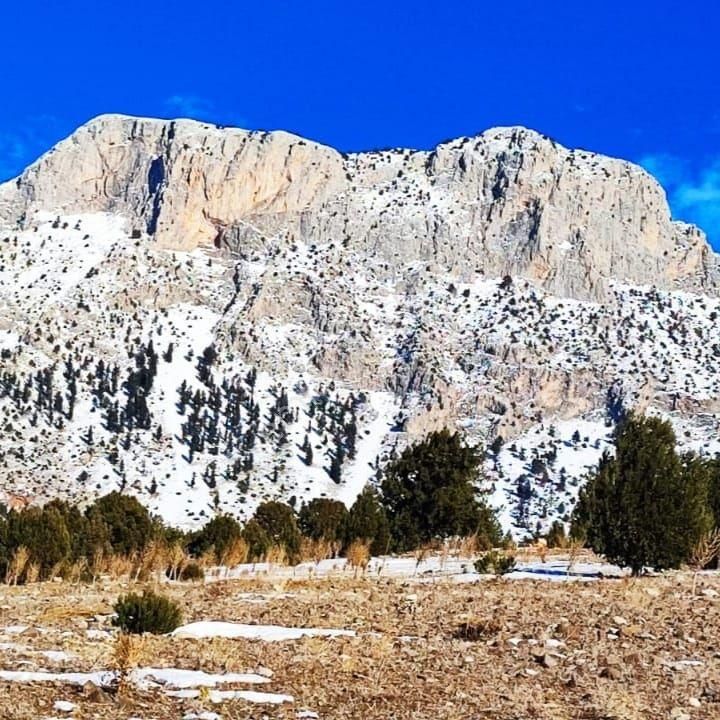 Pozantı Kar Emlak Tan Aşçıbekirli Fenese Mevkiinde Yaylalık 400 M2 Satılık Arsa - Görsel 11