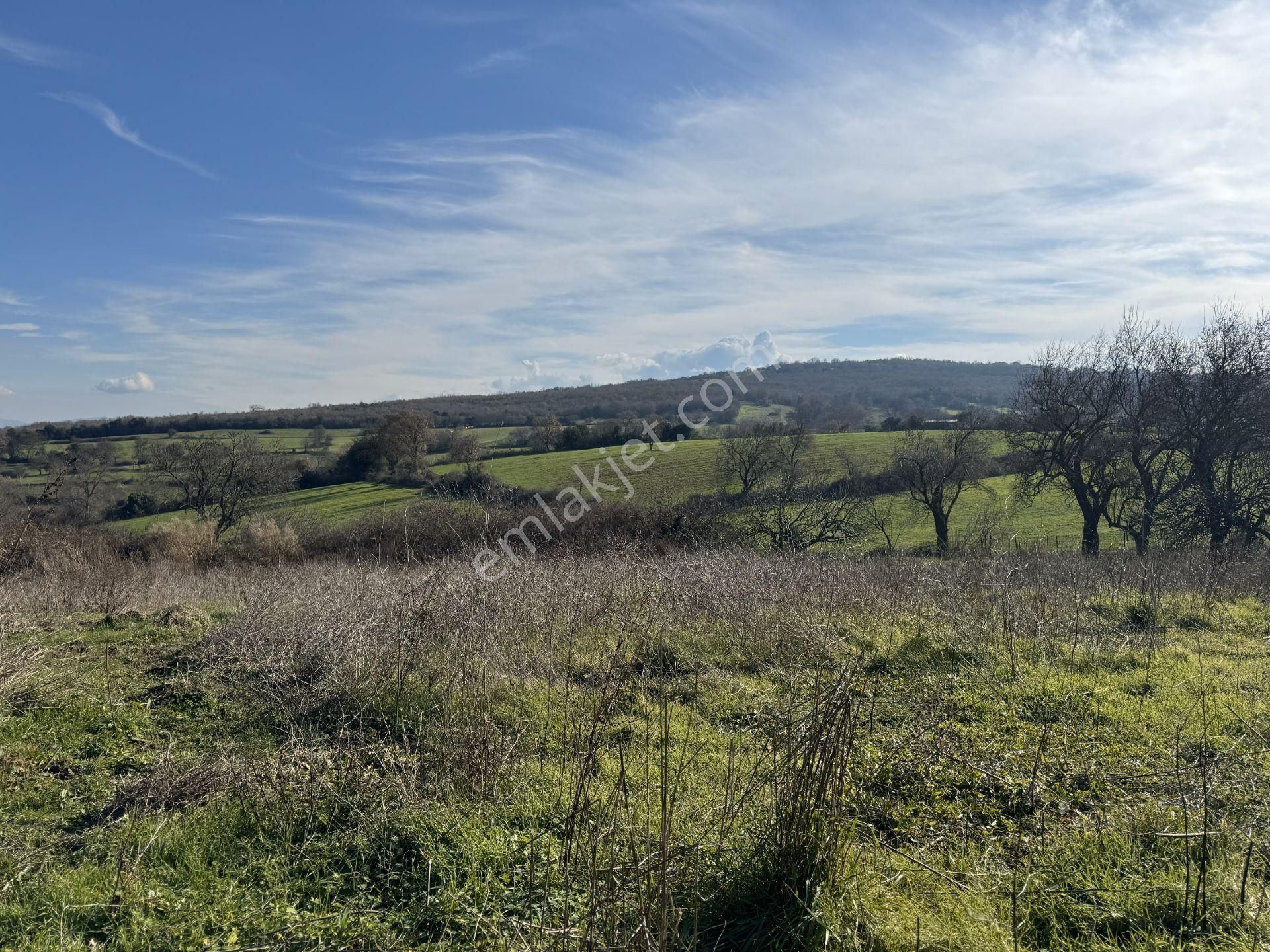 Biga Akpınarda Manzaralı | Havuzlu Villa İçin İdeal İmarlı Arsa - Görsel 8