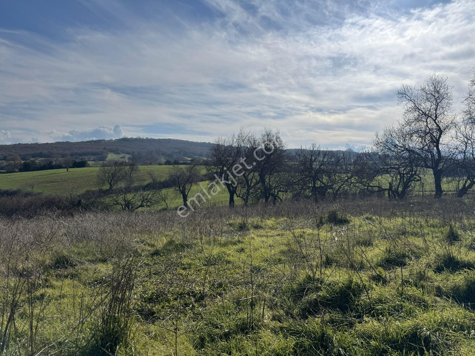 Biga Akpınarda Manzaralı | Havuzlu Villa İçin İdeal İmarlı Arsa - Görsel 9