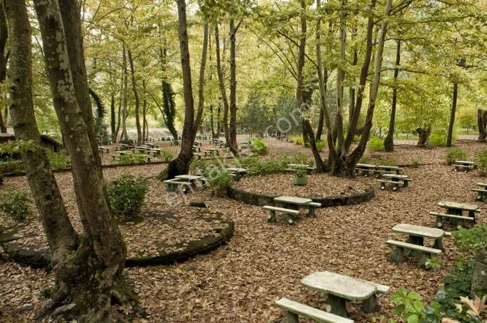 Geniş Arsa Arayanlara Özel İmar Sınırında Fırsat Arsa - Görsel 11