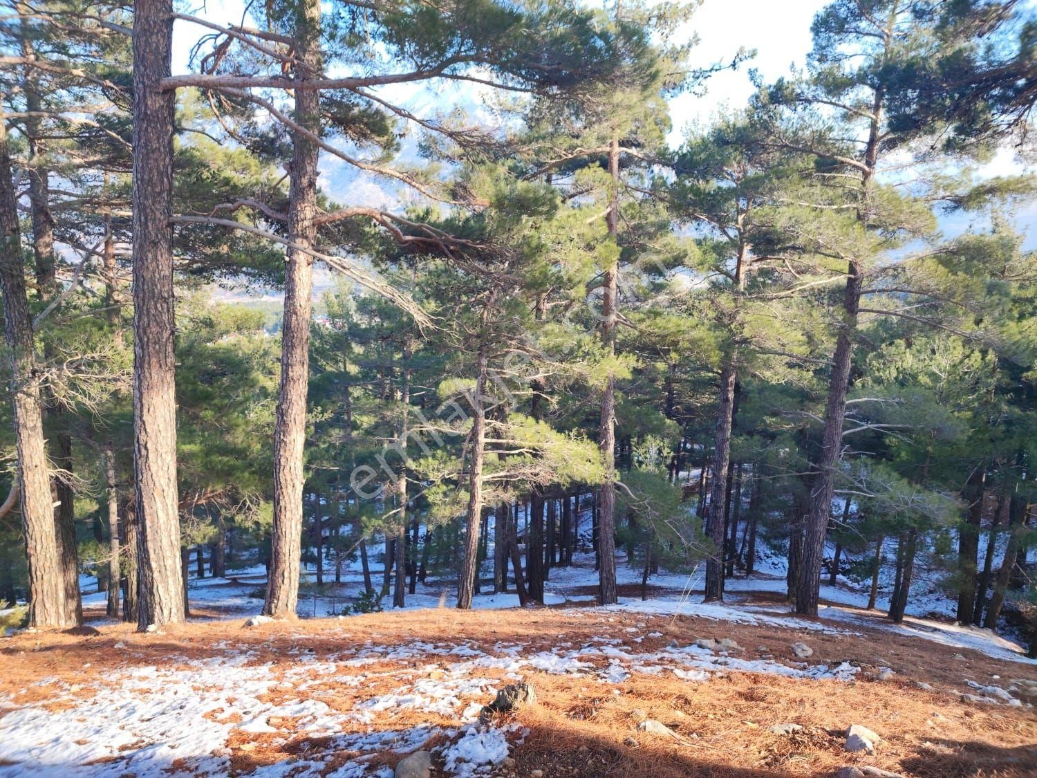 Pozantı Kar Emlak Tan Yeni Konacık Bozkırlı Mevkiinde Yaylalık 350 M2 Satılık Arsa - Görsel 11