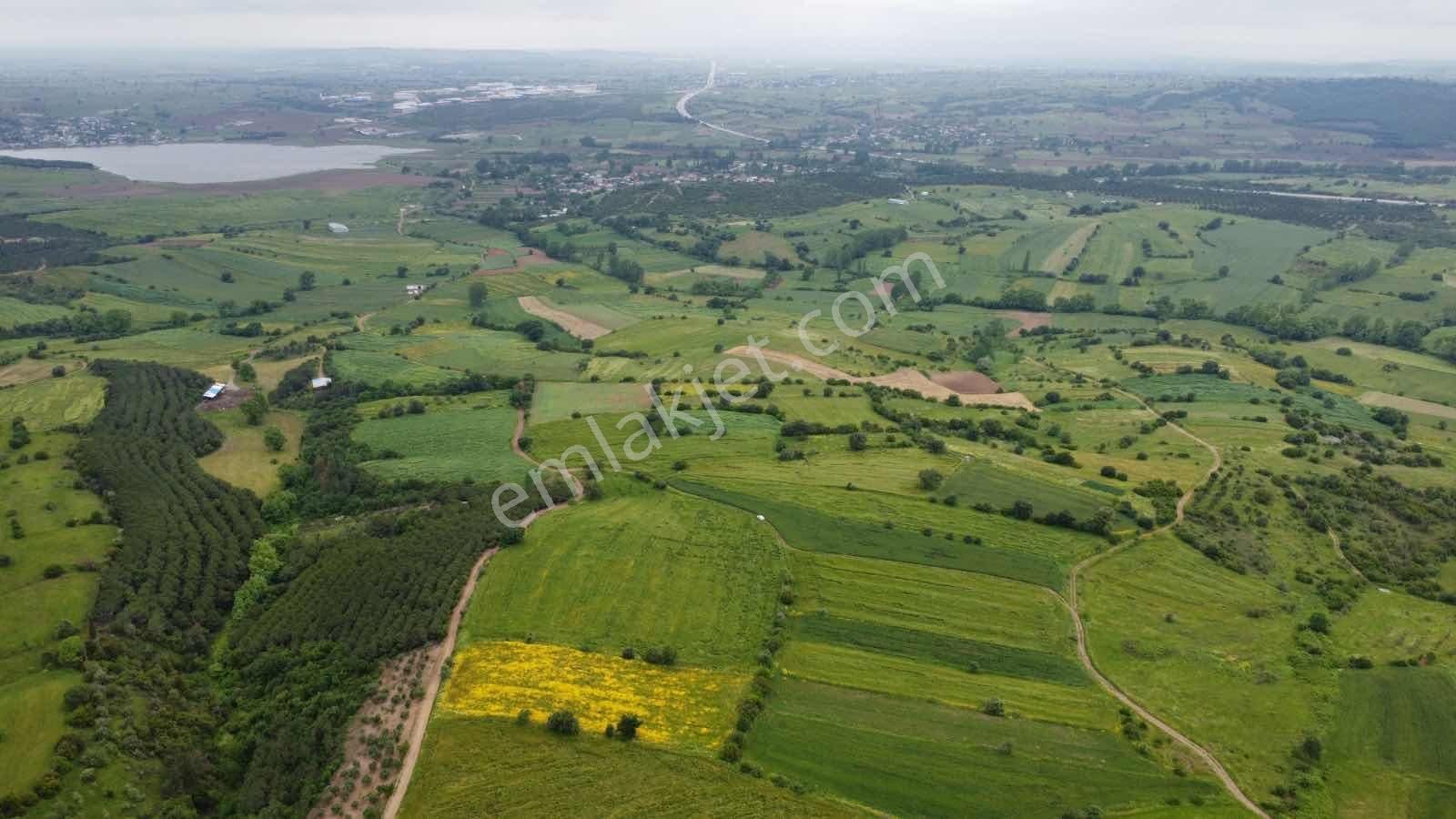 Biga Çelikgüründe Satılık Tek Tapu 5.600m2 Tarla - Görsel 9