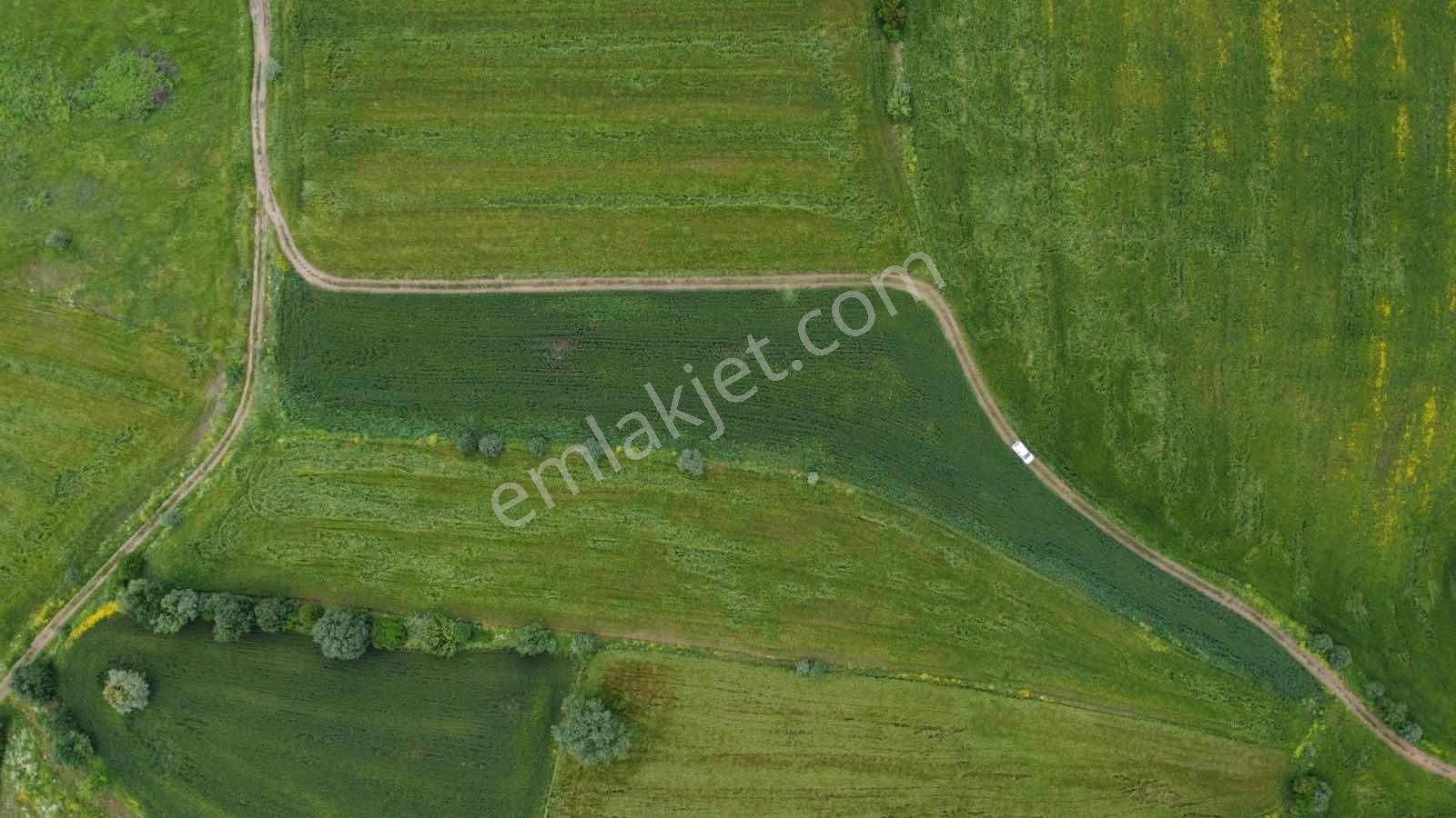 Biga Çelikgüründe Satılık Tek Tapu 5.600m2 Tarla - Görsel 8