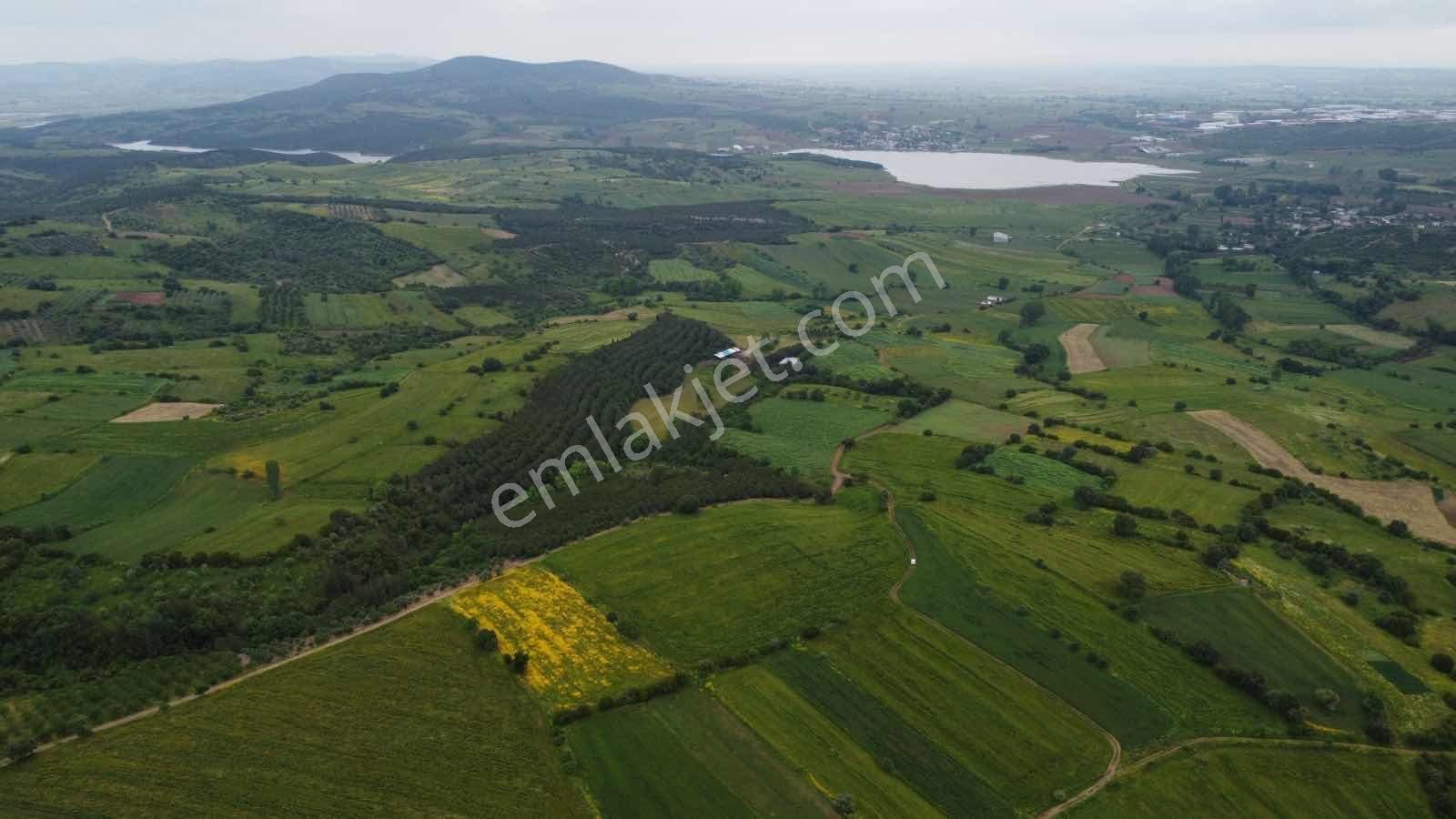 Biga Çelikgüründe Satılık Tek Tapu 5.600m2 Tarla