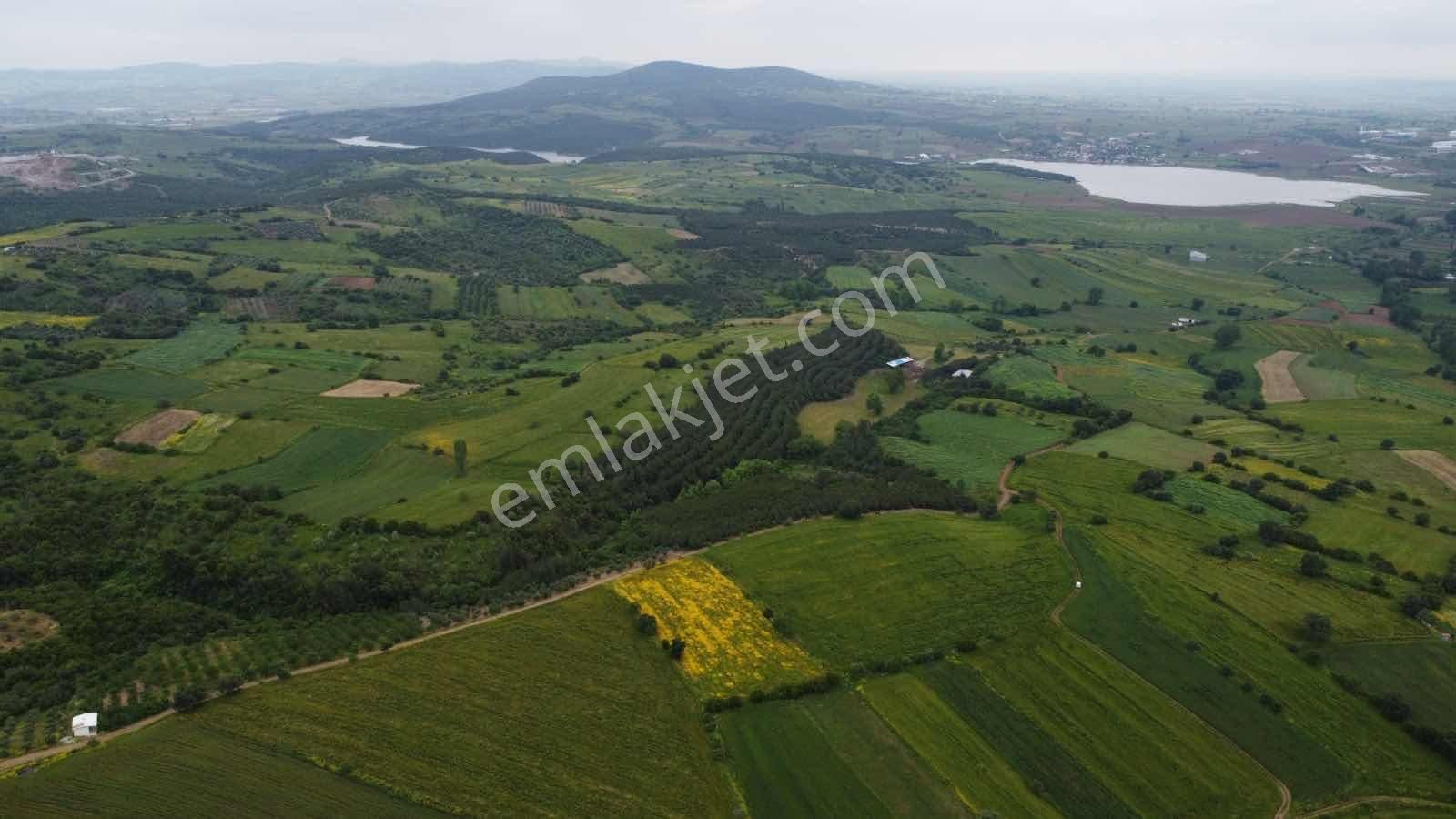 Biga Çelikgüründe Satılık Tek Tapu 5.600m2 Tarla - Görsel 10