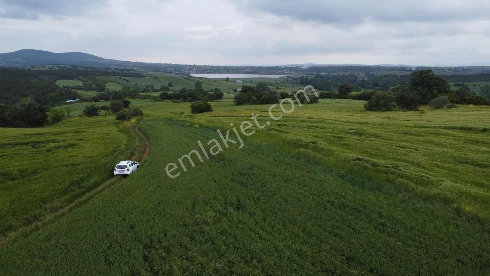 Biga Çelikgüründe Satılık Tek Tapu 5.600m2 Tarla - Görsel 12