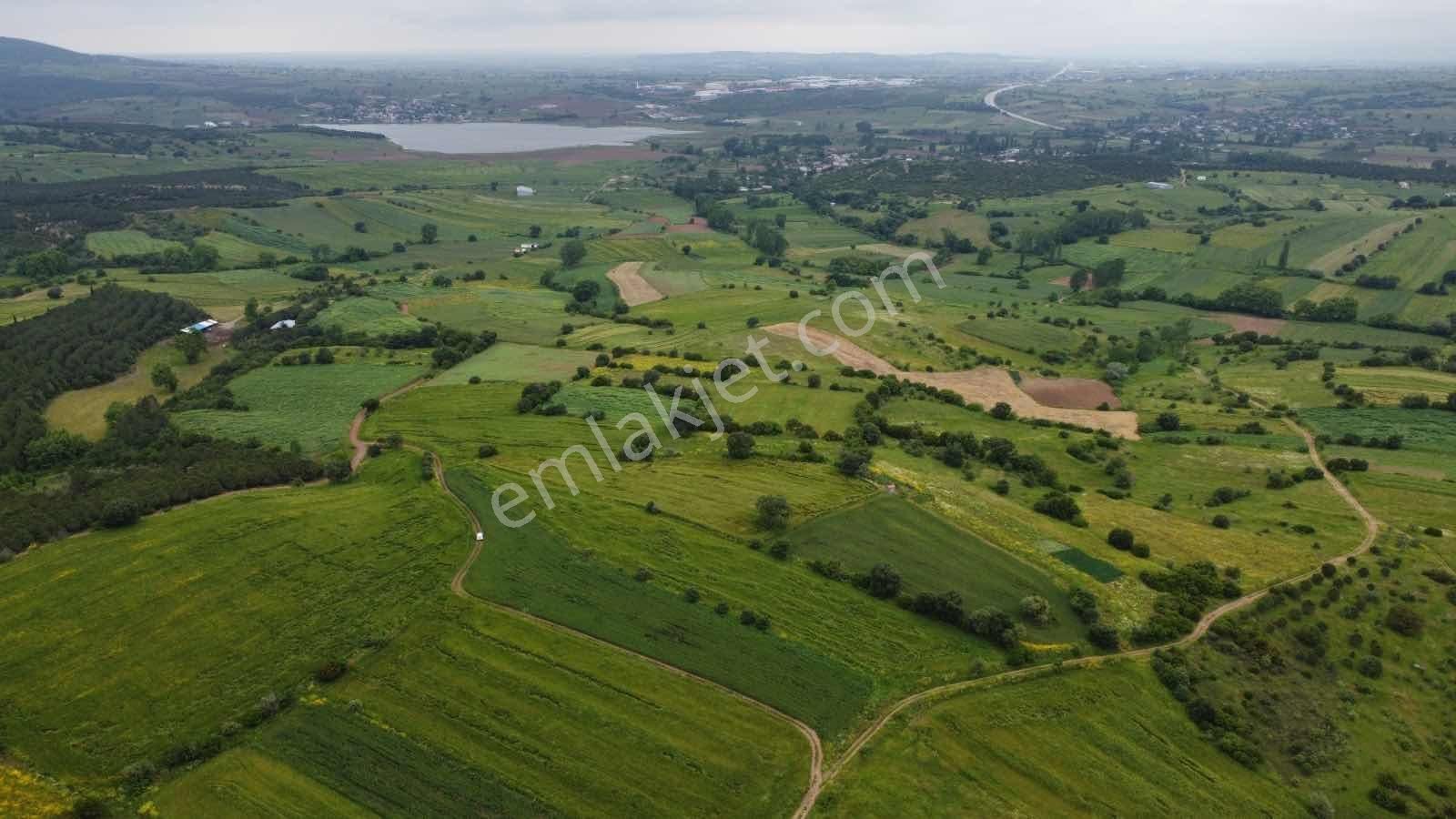 Biga Çelikgüründe Satılık Tek Tapu 5.600m2 Tarla - Görsel 7