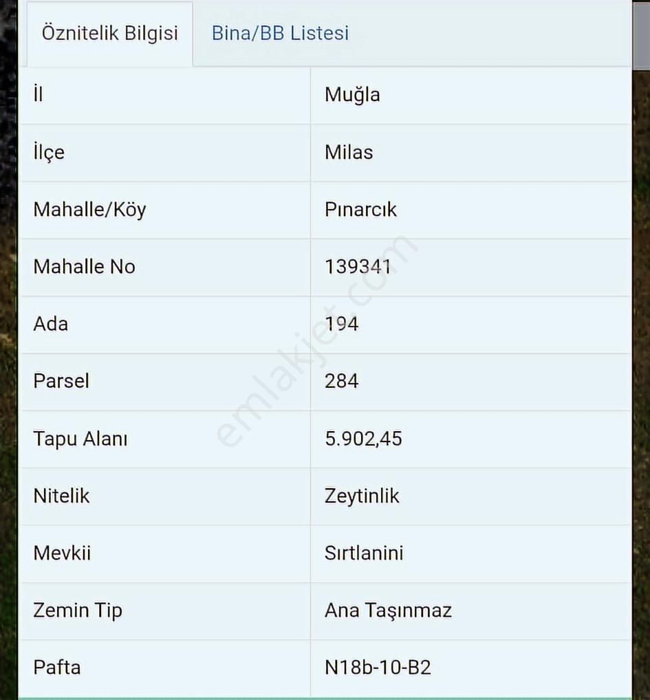 Muğla Milas Pınarcık`ta 5902 M2`lik Satılık Zeytinlik - Görsel 3