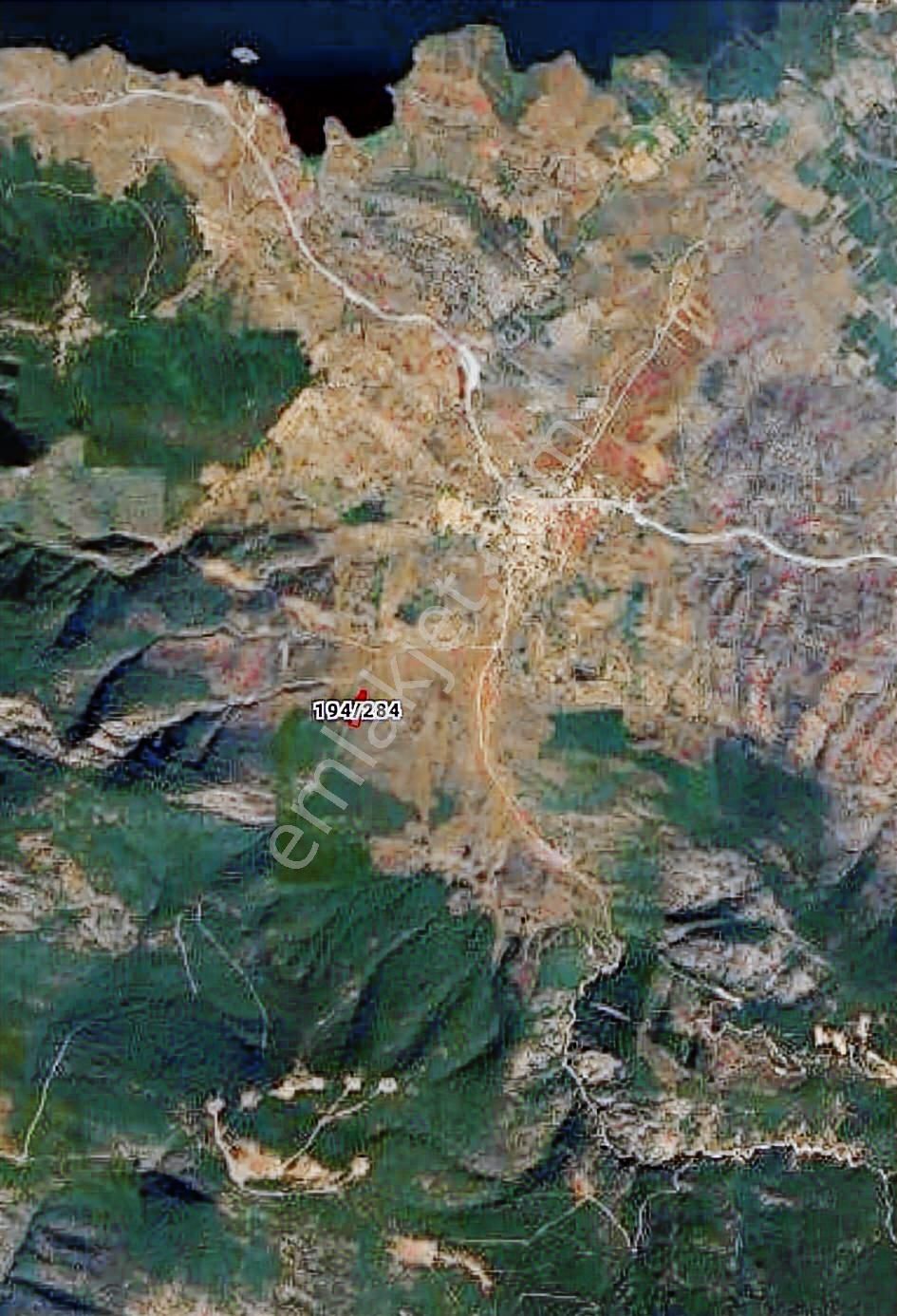 Muğla Milas Pınarcık`ta 5902 M2`lik Satılık Zeytinlik - Görsel 2