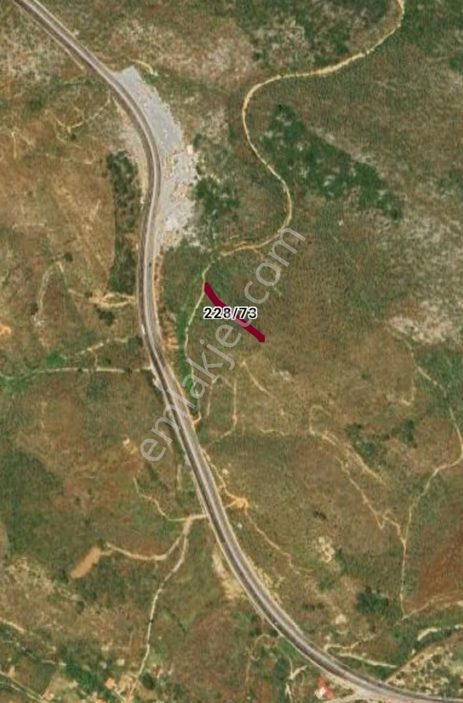 Muğla Milas Pınarcık`ta 720 M2`lik Satılık Zeytinlik - Görsel 3