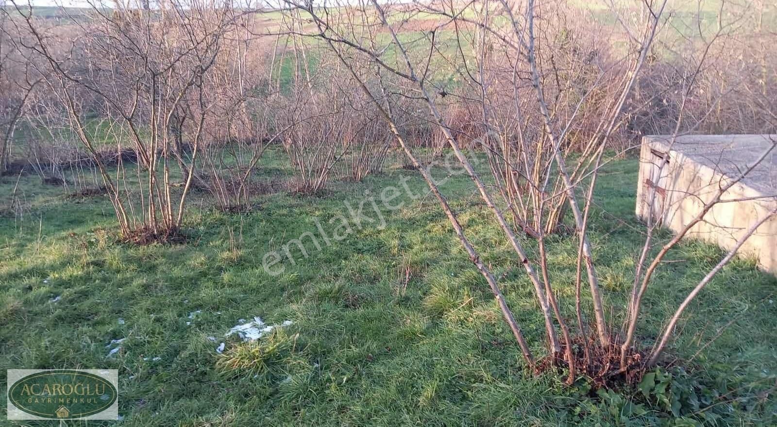 Kaynarca Kayacık,ta 1.435 M² Tarla ! 21m² Konteyner Köy Evi - Görsel 4