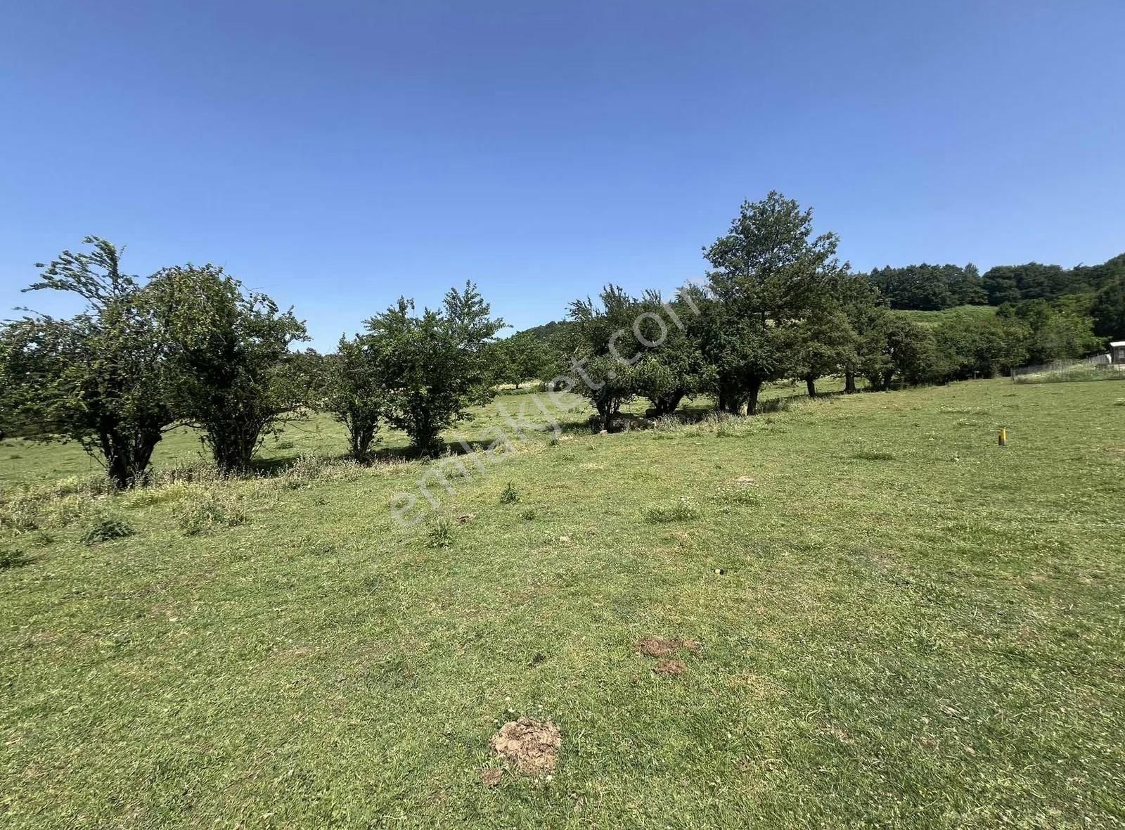 Kazdağlarının Eteklerinde İnşaata Hazır İmarlı Arsa - Görsel 22