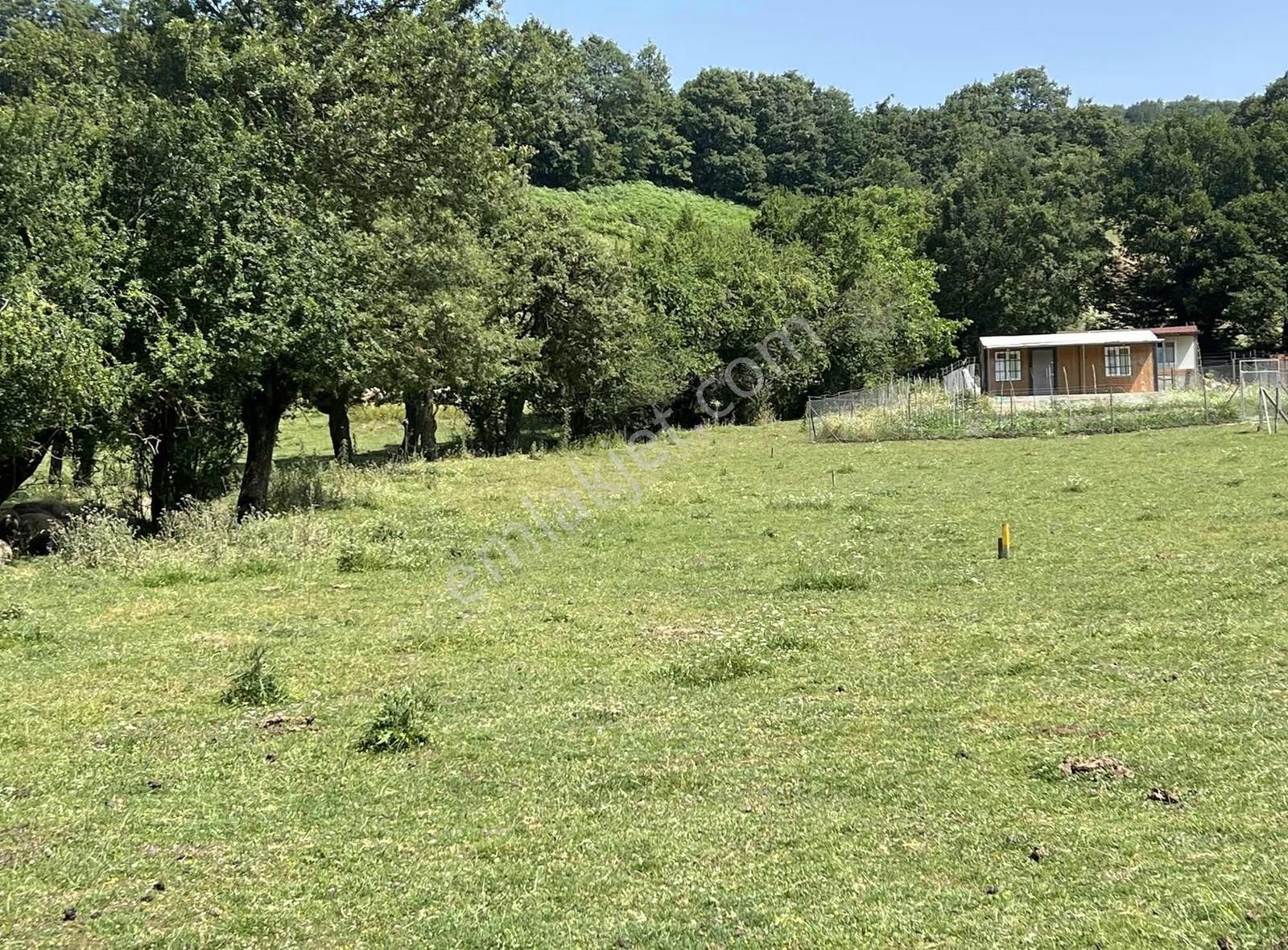 Kazdağlarının Eteklerinde İnşaata Hazır İmarlı Arsa