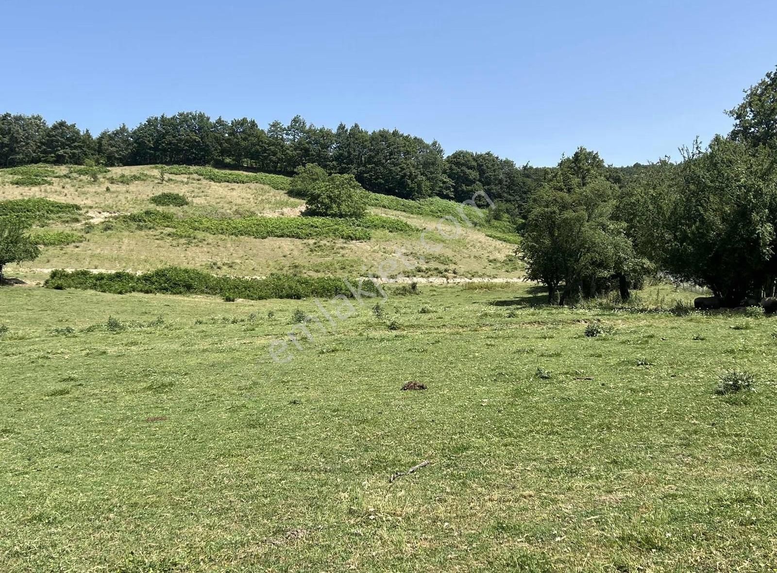 Kazdağlarının Eteklerinde İnşaata Hazır İmarlı Arsa - Görsel 21