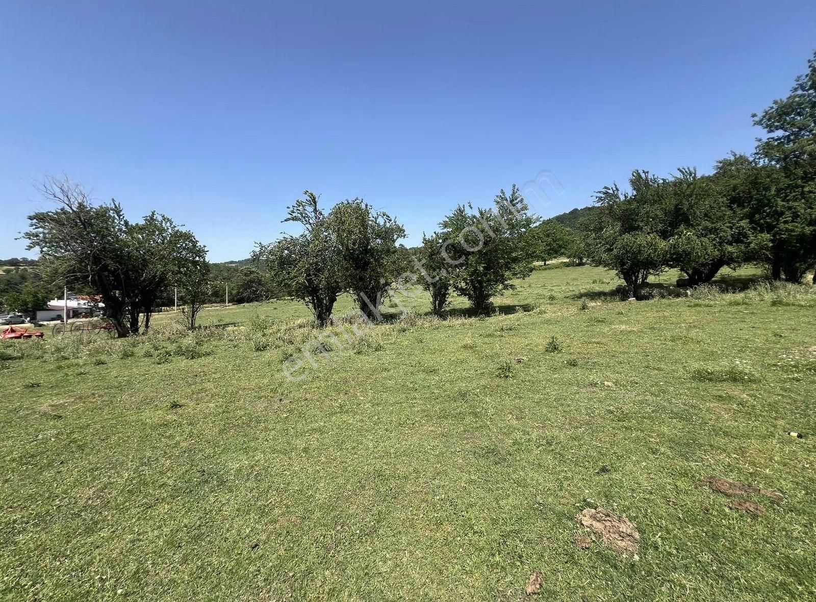 Kazdağlarının Eteklerinde İnşaata Hazır İmarlı Arsa - Görsel 35