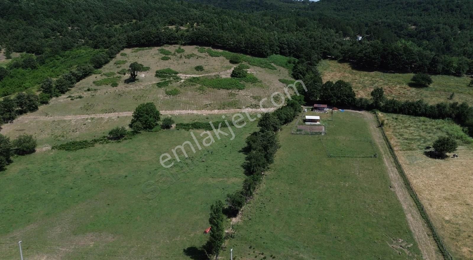 Kazdağlarının Eteklerinde İnşaata Hazır İmarlı Arsa - Görsel 6