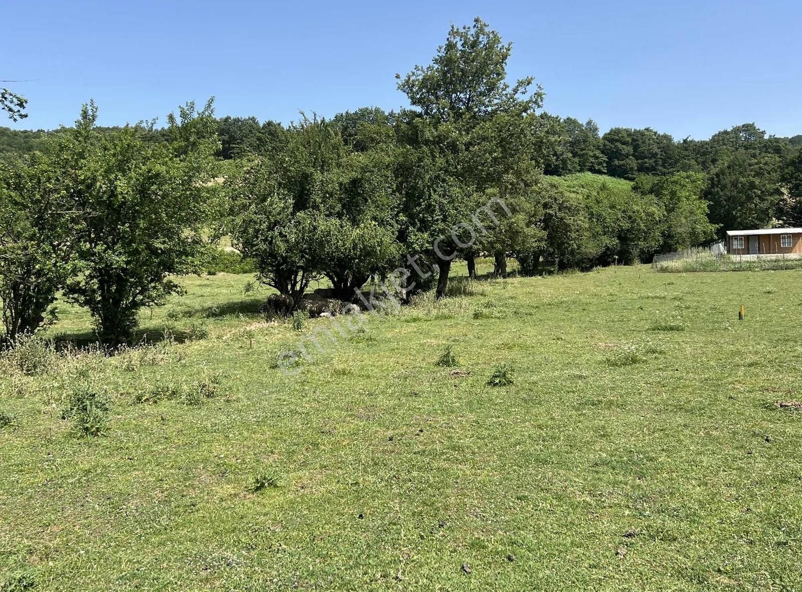 Kazdağlarının Eteklerinde İnşaata Hazır İmarlı Arsa - Görsel 29