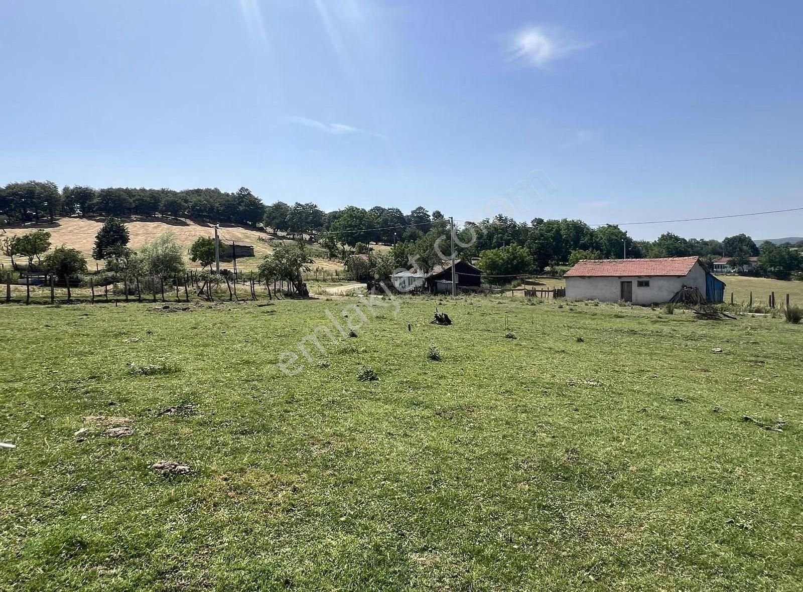 Kazdağlarının Eteklerinde İnşaata Hazır İmarlı Arsa - Görsel 7