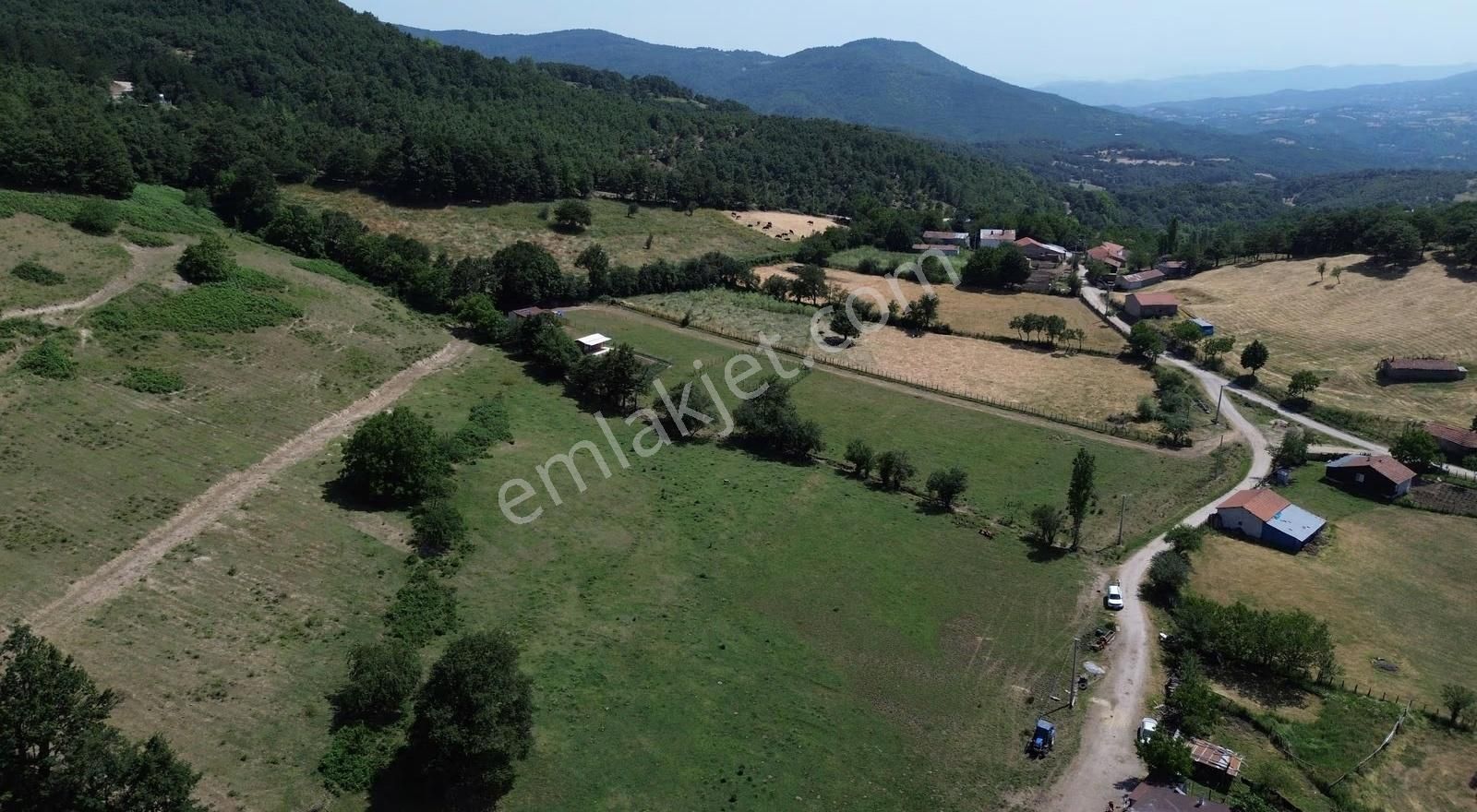 Kazdağlarının Eteklerinde İnşaata Hazır İmarlı Arsa - Görsel 4