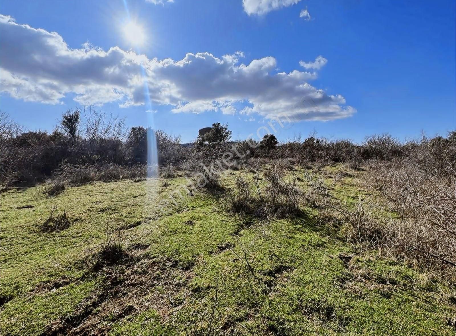 Sahillere Yakın Yaylacık Köyünde Yatırımlık Düz Taban Arazi - Görsel 9
