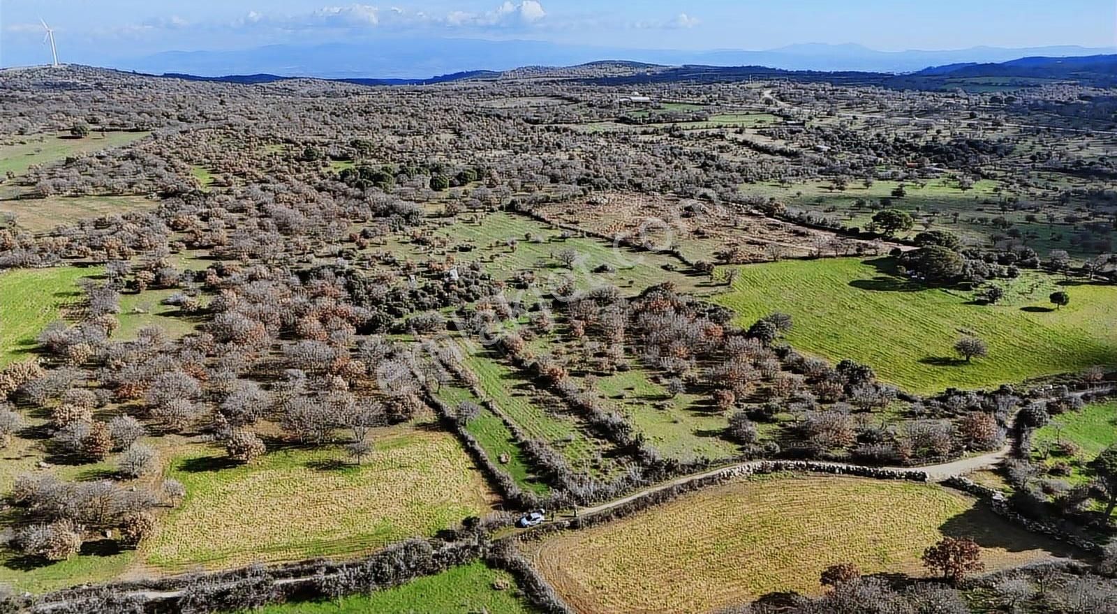 Sahillere Yakın Yaylacık Köyünde Yatırımlık Düz Taban Arazi - Görsel 3