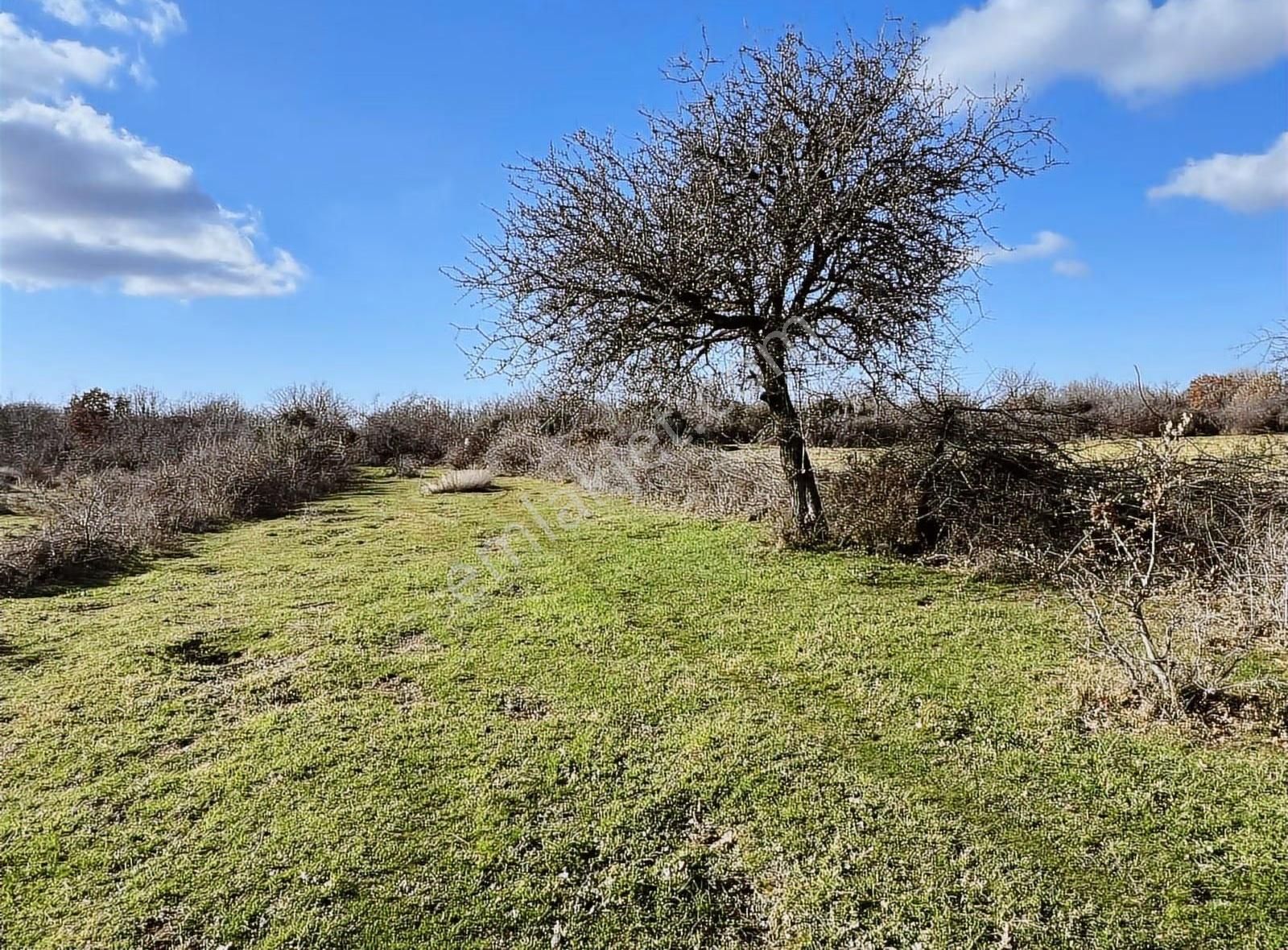 Sahillere Yakın Yaylacık Köyünde Yatırımlık Düz Taban Arazi - Görsel 14
