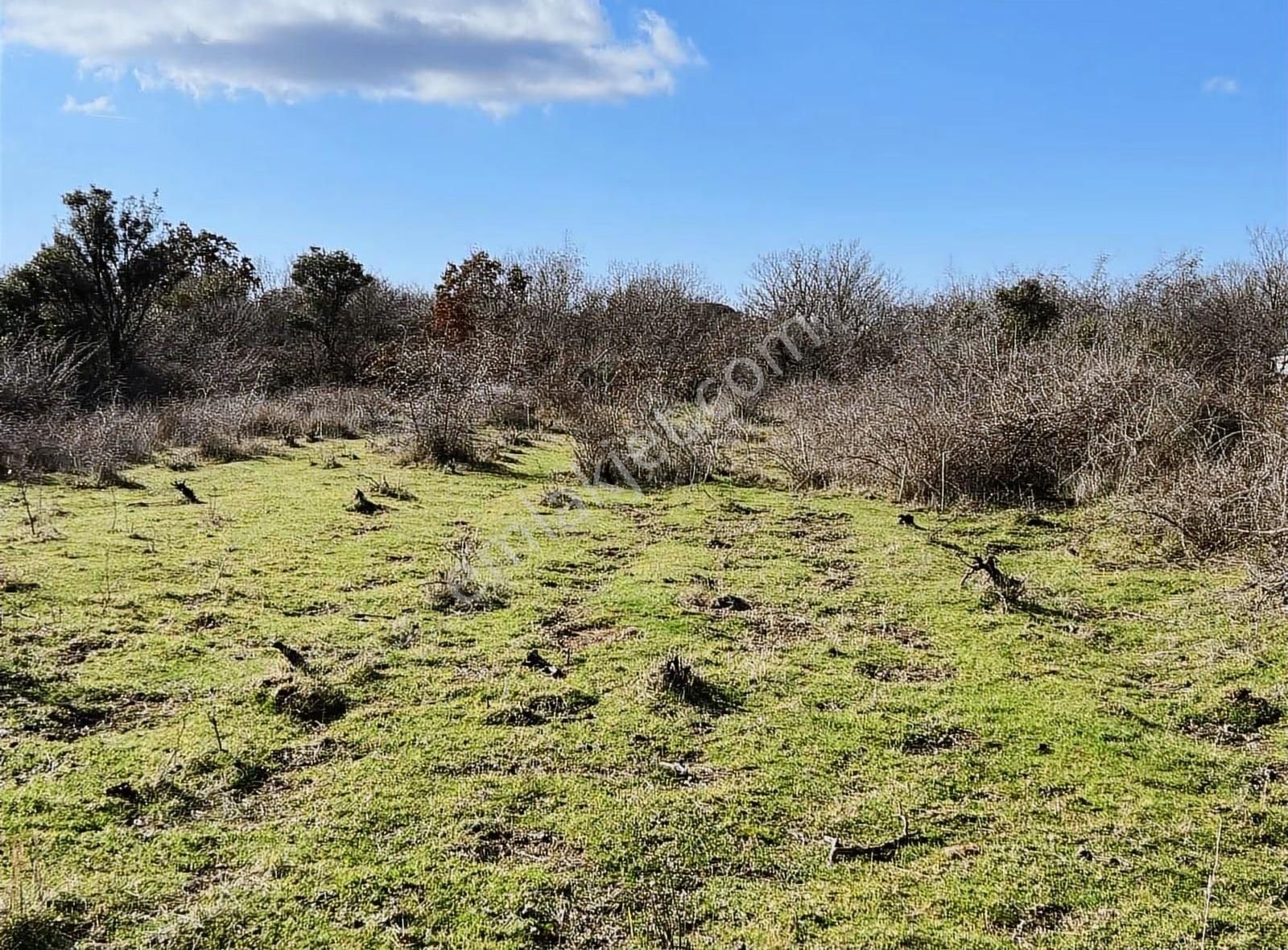 Sahillere Yakın Yaylacık Köyünde Yatırımlık Düz Taban Arazi - Görsel 21