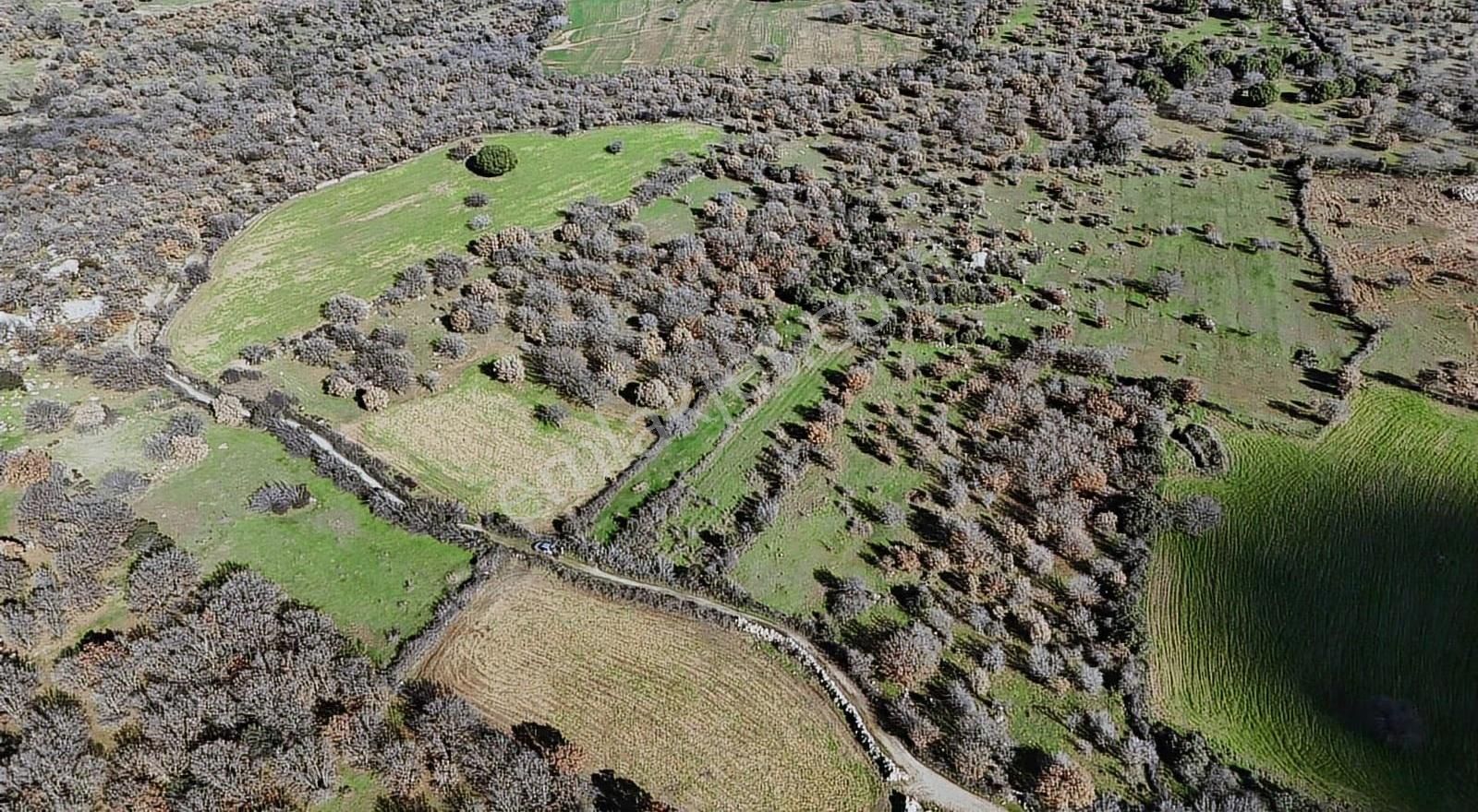 Sahillere Yakın Yaylacık Köyünde Yatırımlık Düz Taban Arazi - Görsel 26