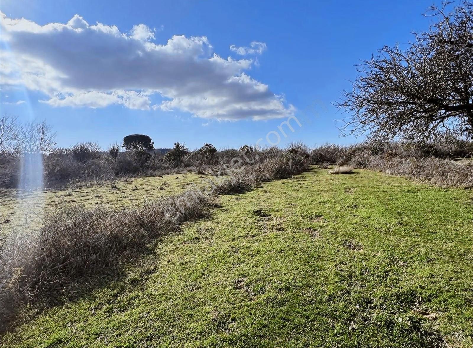 Sahillere Yakın Yaylacık Köyünde Yatırımlık Düz Taban Arazi - Görsel 28