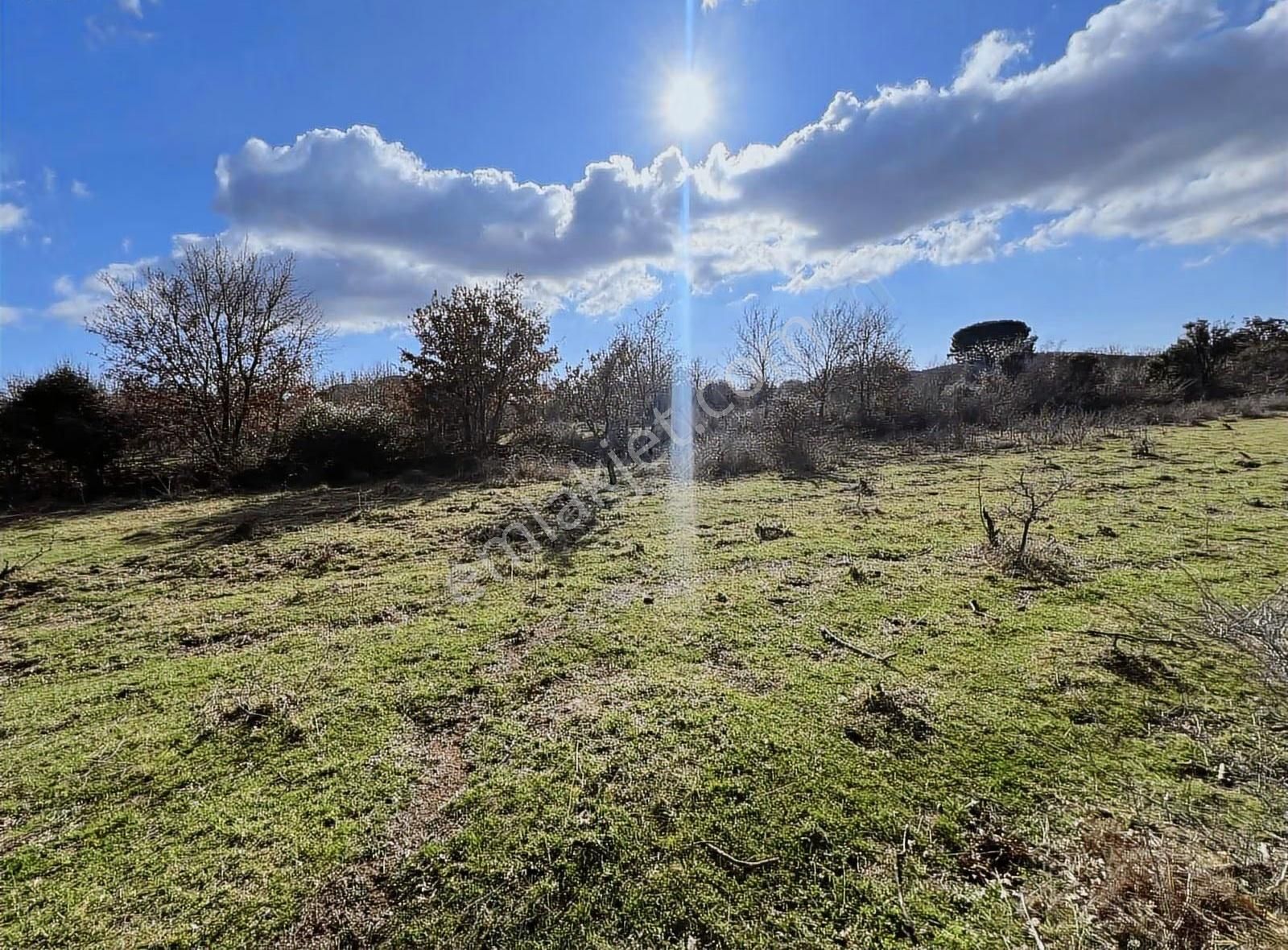 Sahillere Yakın Yaylacık Köyünde Yatırımlık Düz Taban Arazi - Görsel 23