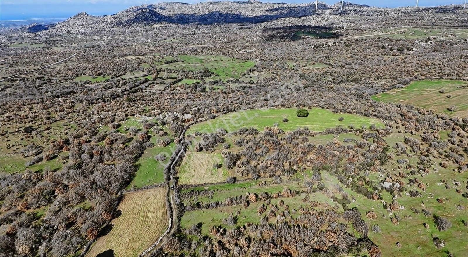 Sahillere Yakın Yaylacık Köyünde Yatırımlık Düz Taban Arazi - Görsel 13
