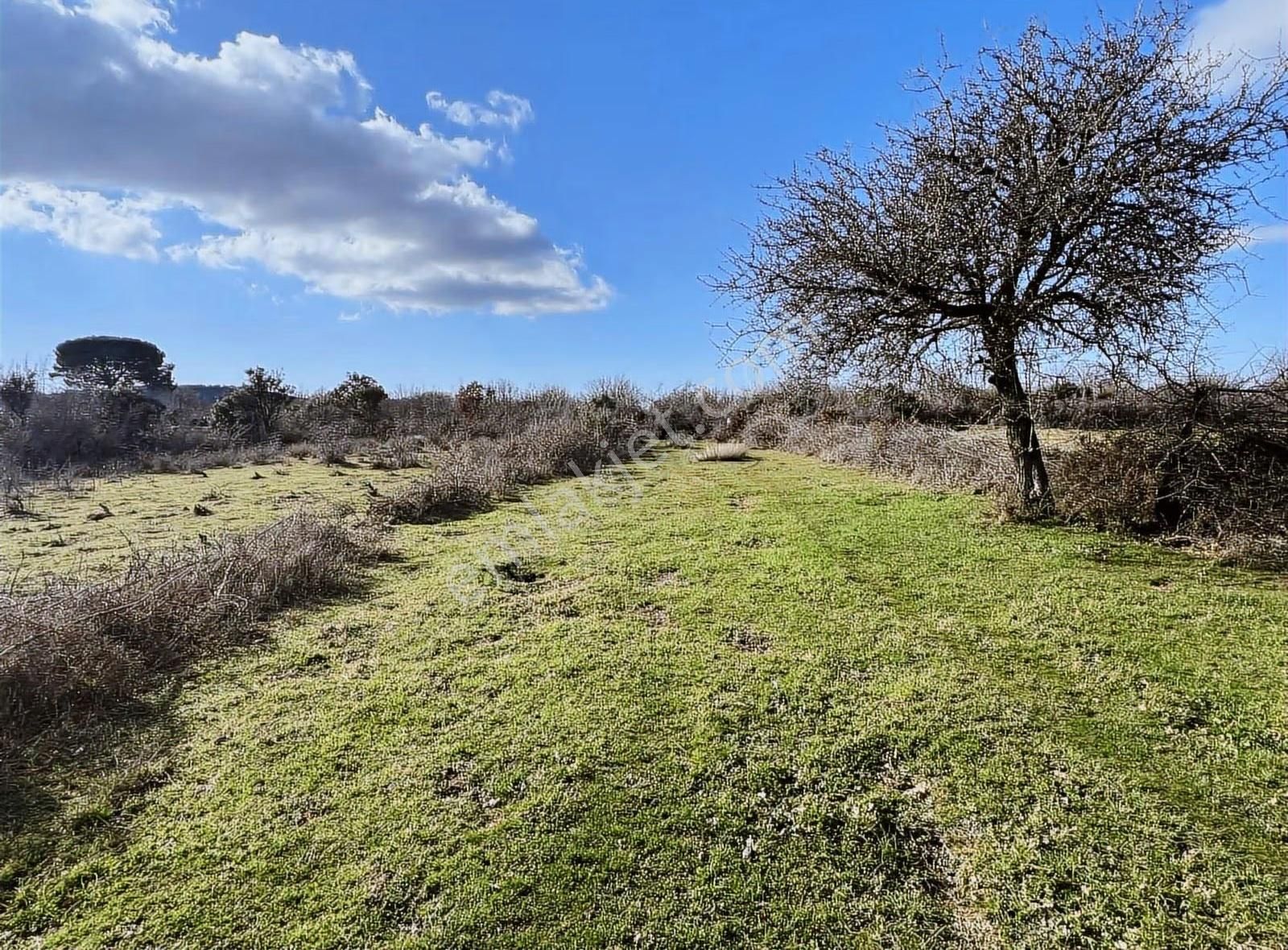 Sahillere Yakın Yaylacık Köyünde Yatırımlık Düz Taban Arazi - Görsel 18