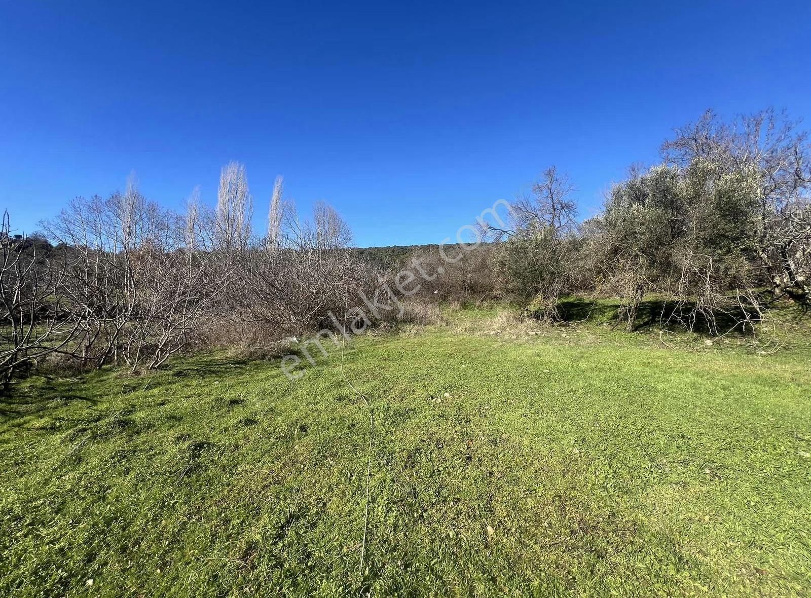 Assos Sahillerine Komşu, Ayvacık Merkeze 5 Dk Konut İmarlı Arsa - Görsel 31