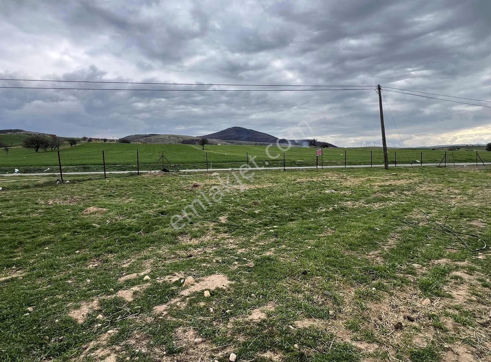 Assos-babakale Yolunda Asfalt Cepheli Fırsat Arazi - Görsel 18