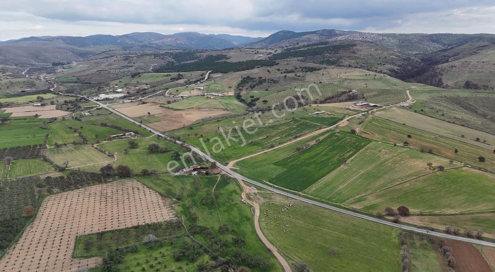 Assos-babakale Yolunda Asfalt Cepheli Fırsat Arazi - Görsel 5