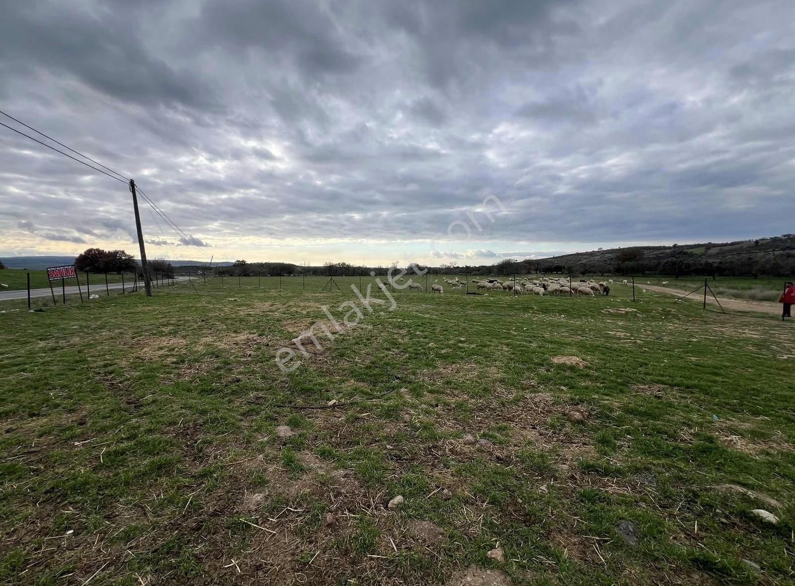 Assos-babakale Yolunda Asfalt Cepheli Fırsat Arazi - Görsel 29