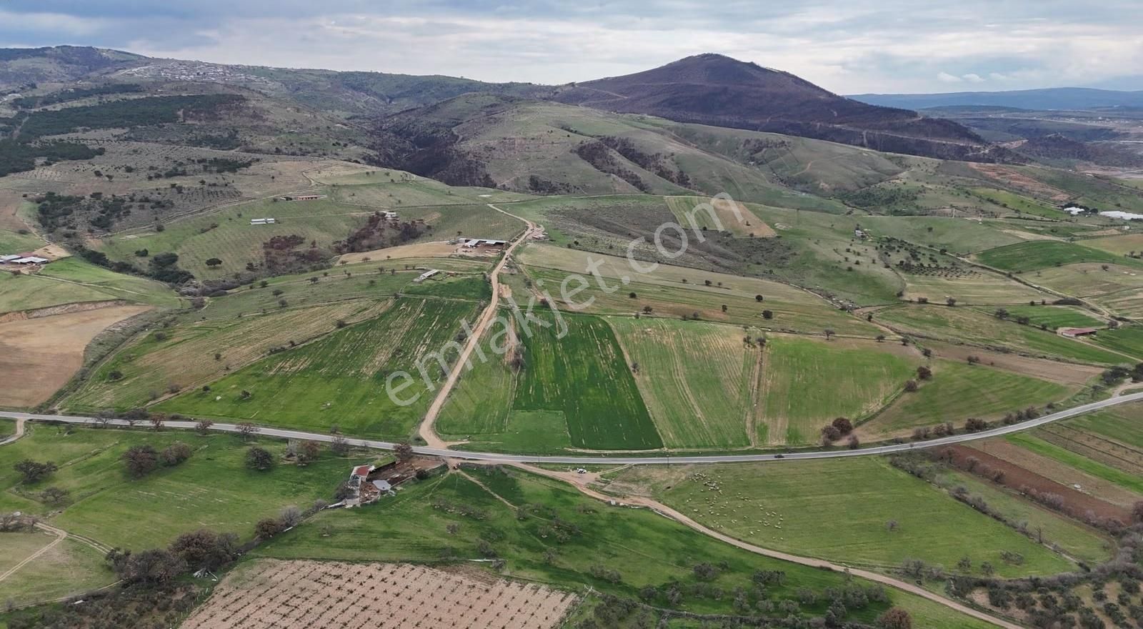 Assos-babakale Yolunda Asfalt Cepheli Fırsat Arazi - Görsel 20