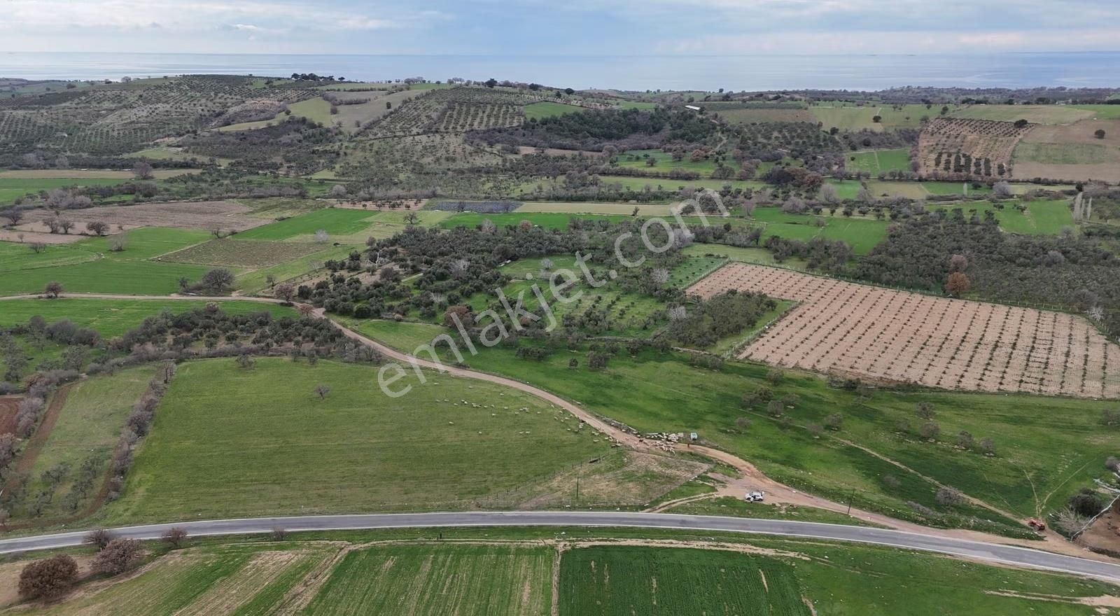 Assos-babakale Yolunda Asfalt Cepheli Fırsat Arazi - Görsel 35