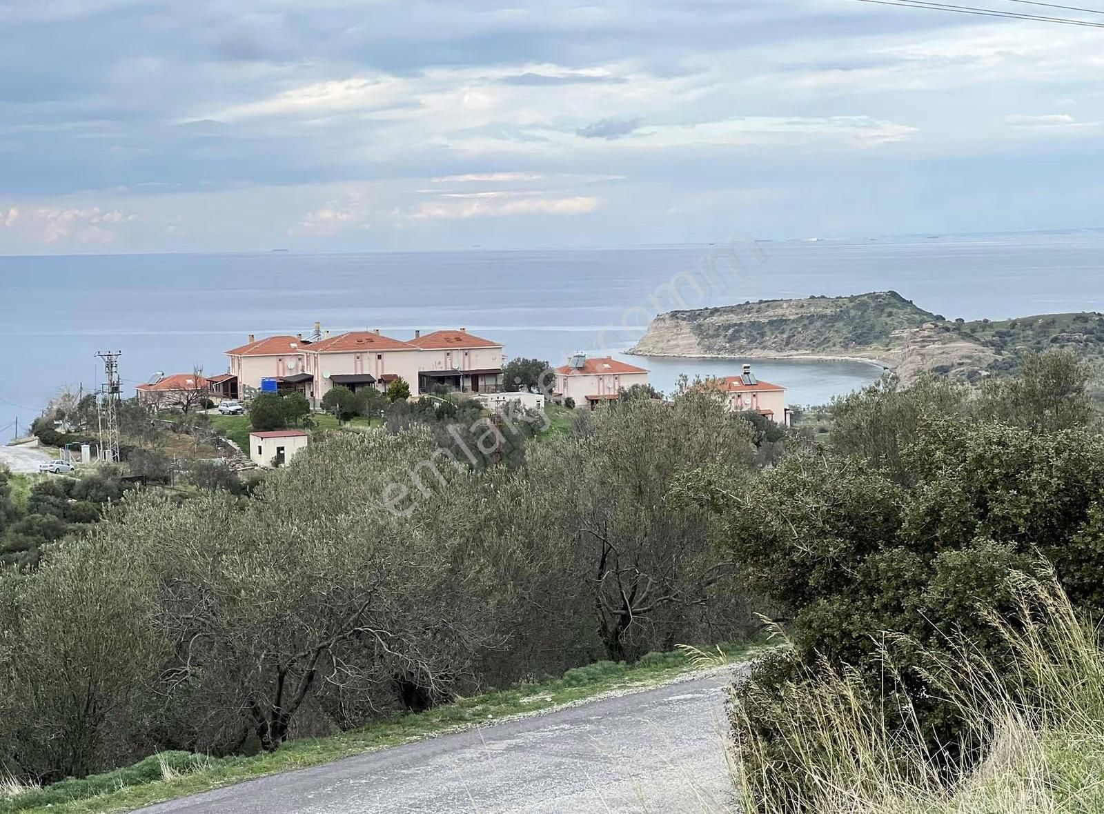 Batının En Uç Noktasında Babakalede Deniz Manzaralı Arsa - Görsel 33