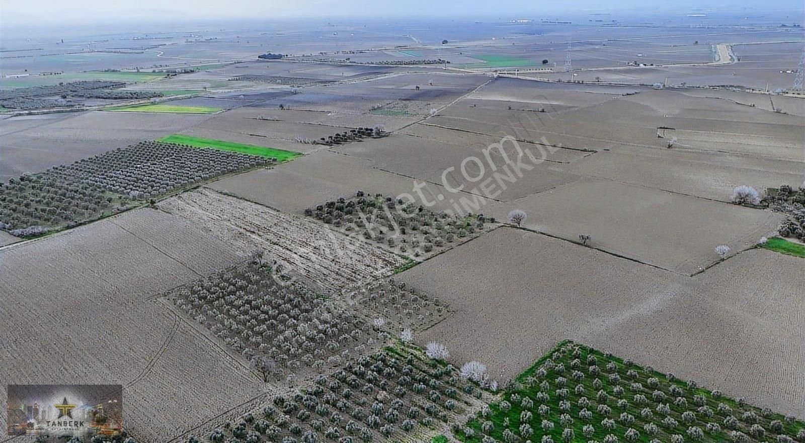 Satılık Tarla 9150 M2 Cumalıköy Ovasında - Görsel 2