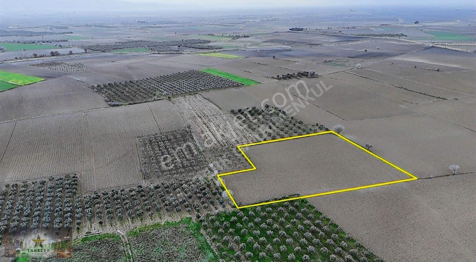 Satılık Tarla 9150 M2 Cumalıköy Ovasında - Görsel 9