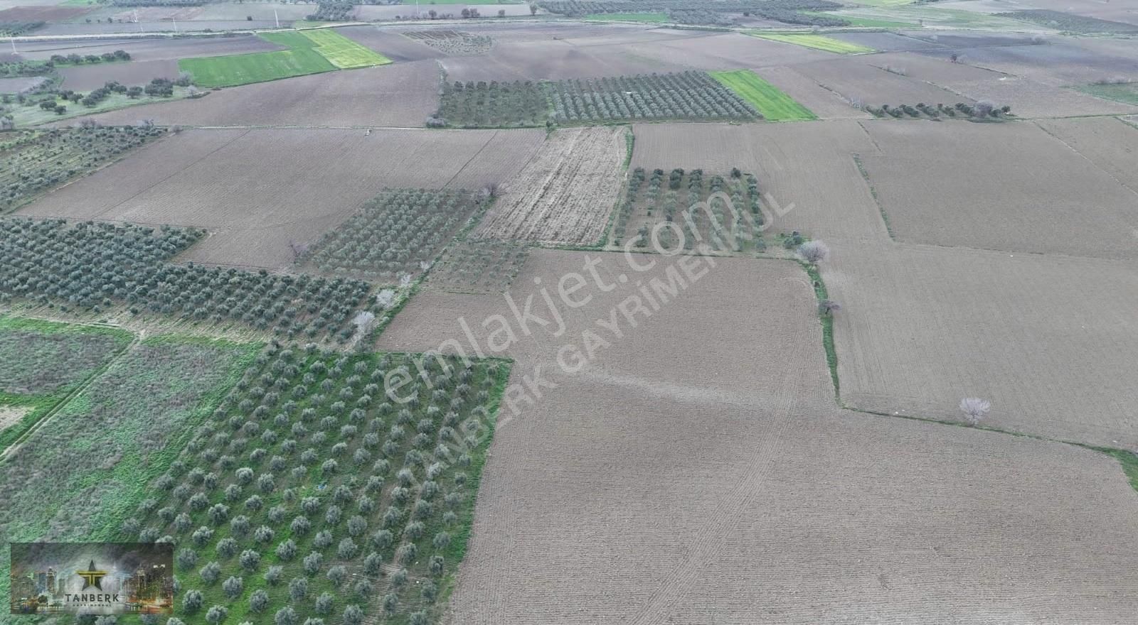 Satılık Tarla 9150 M2 Cumalıköy Ovasında - Görsel 6