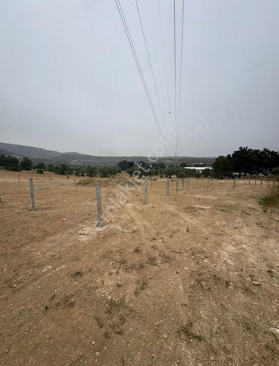 Rc// Kaynaklar Merkezde Satılık Tarla