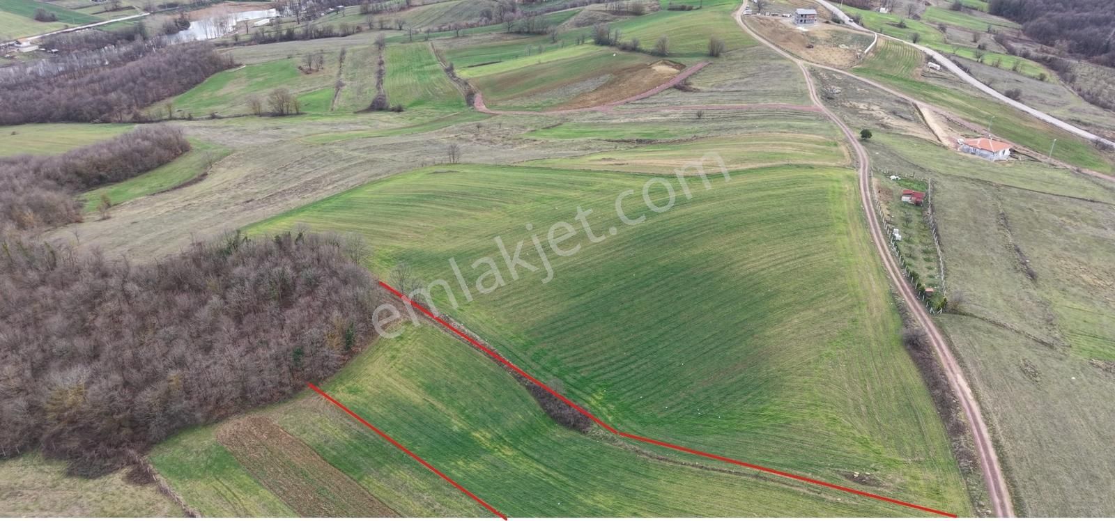 Nebihoca'da Gölet Manzaralı Bugalowa Uygun Tarla - Görsel 4