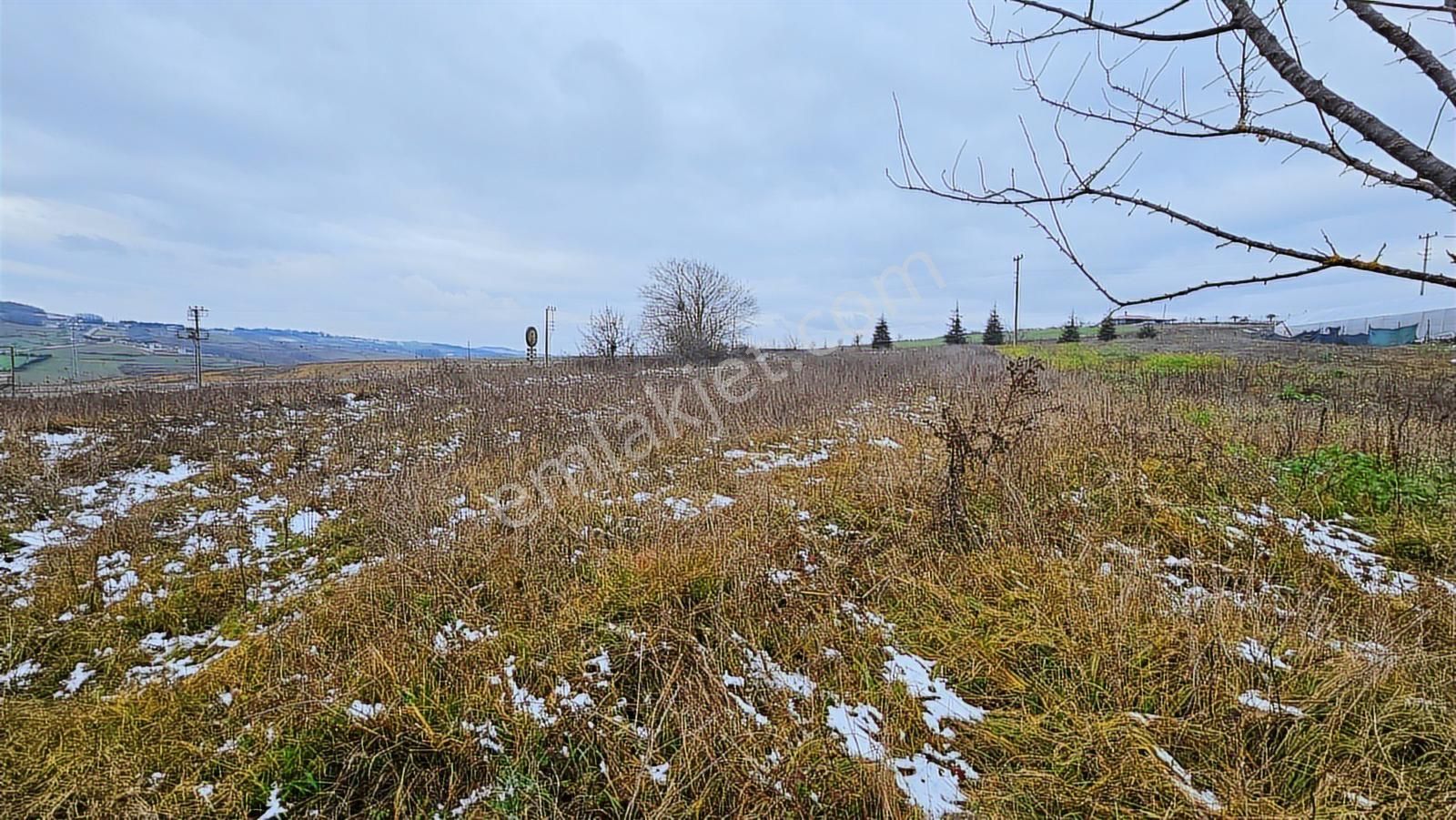 İzmit Kandıra Yolunda Satılık Ticari Potansiyeli Olan Arsa - Görsel 16