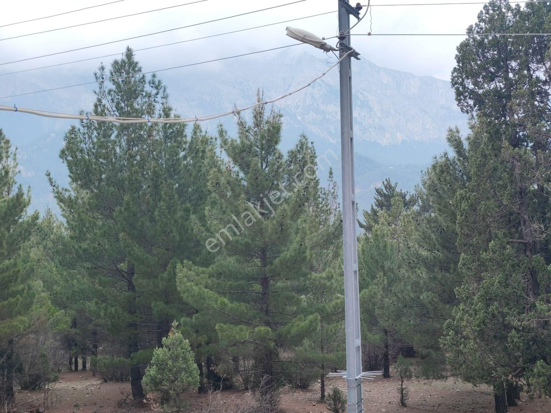 Kar Emlaktan Akçatekir Alpaslanda 400 M2 Arsa İçerisinde 3+1 Satılık Müstakil Ev - Görsel 3