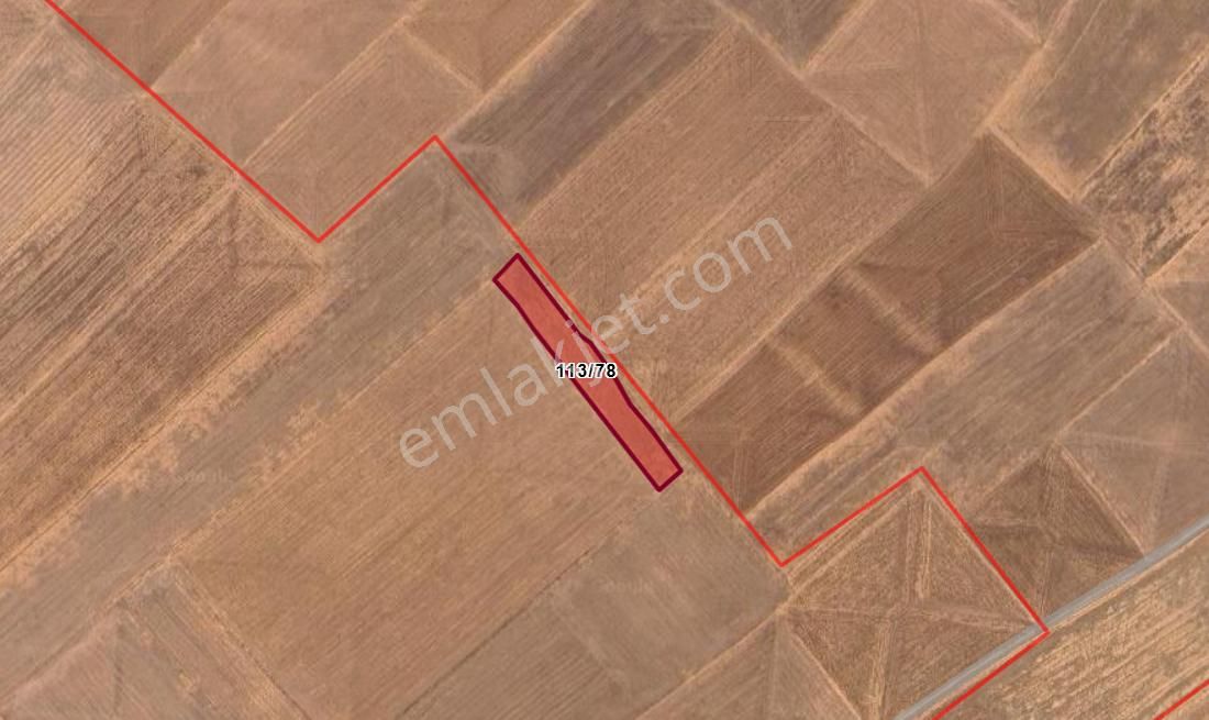 Afyonkarahisar Sultandağı Karakışla Köyünde 3.900 M² Tarla Satılıktır